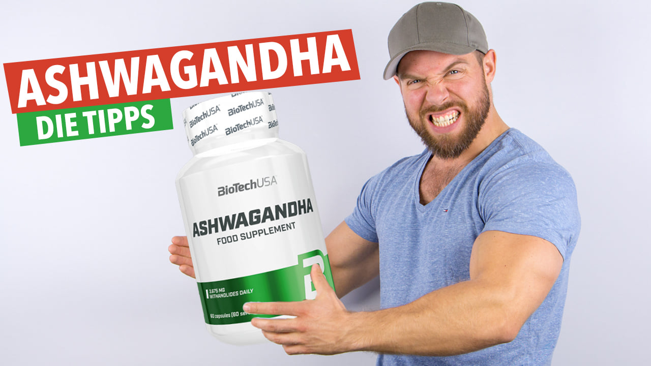BioTech USA Ashwagandha 💊 im Test die Wirkung und Einnahmeempfehlung Muskelmacher Shop Magazin BioTech USA Ashwagandha 💊 im Test die Wirkung und Einnahmeempfehlung Muskelmacher Shop Magazin