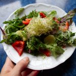 Sirtfood Diät – Wissen & Fakten zur Diät