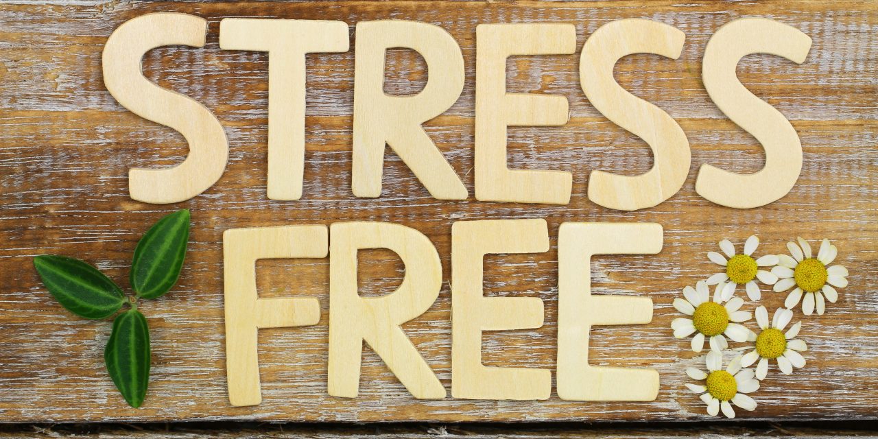 Stress,Free,Written,With,Wooden,Letters,On,Rustic,Wooden,Surface